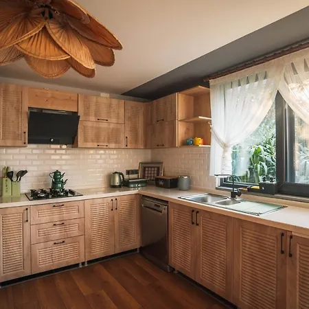 Blacksea Dream House Σπίτι διακοπών Τραμπζόν